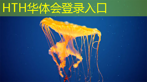 华体育hth：ai代替游戏原画师的软件