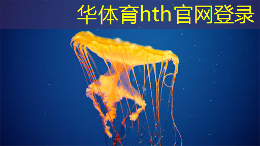 华体会·(hth)体育：游戏实体原画软件有哪些