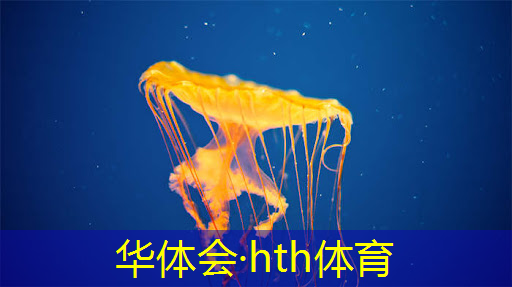 华体育hth：童年3d忍者游戏攻略
