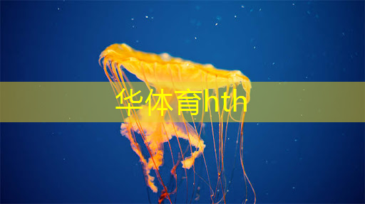 华体育hth：抖音游戏原画背景音乐是什么