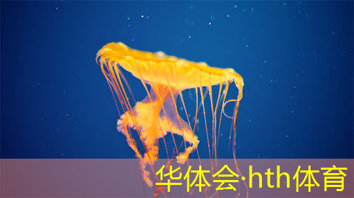 育碧游戏原画师