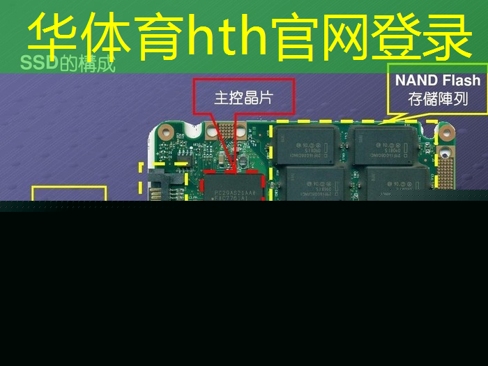 HTH华体会登录入口：游戏原画哪个好学些