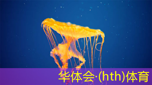 华体育hth官网登录：3d游戏出现雪花怎么回事