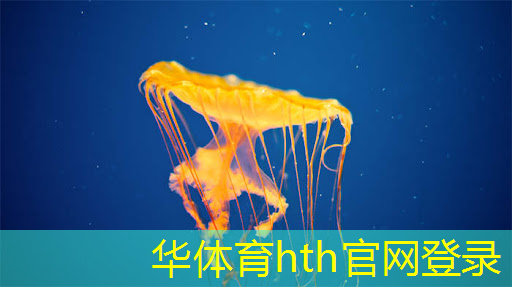华体会·(hth)体育：会玩游戏对游戏原画有帮助吗