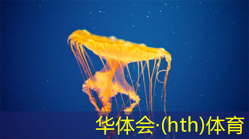 华体会·(hth)体育：3d的舞蹈游戏