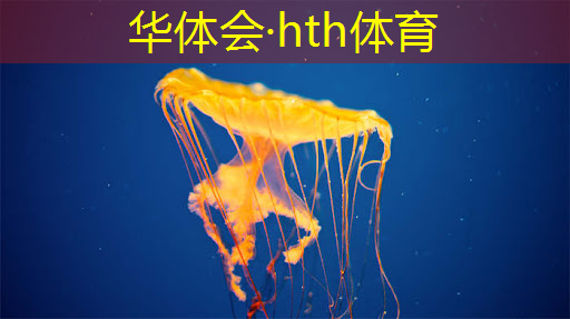 游戏原画技法是干嘛的