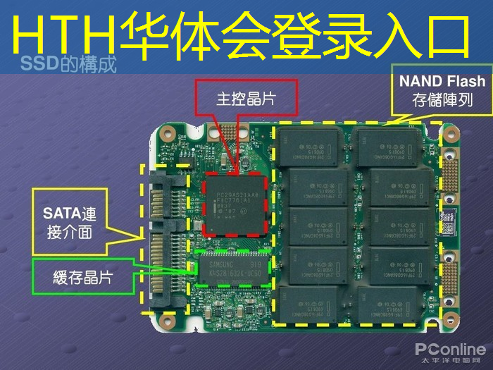 汤姆3d游戏
