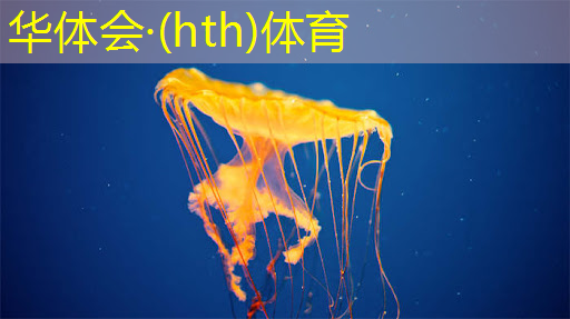 华体会·(hth)体育：昆明2D游戏原画课