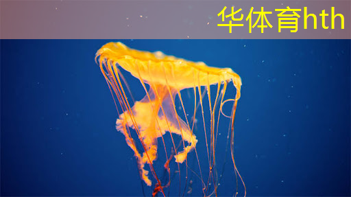 华体育hth：2d小程序射击游戏手游