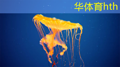 ai代替游戏原画师的软件