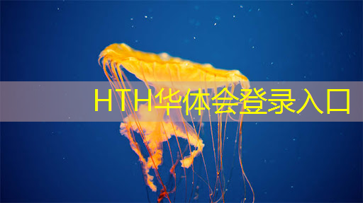 游戏实体原画软件有哪些
