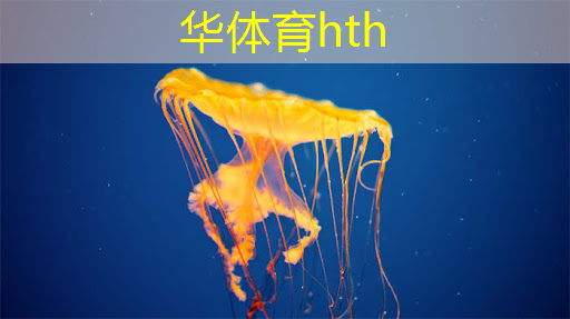童年3d忍者游戏攻略