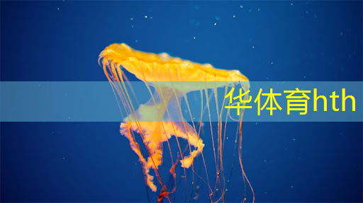 台球教学游戏3d