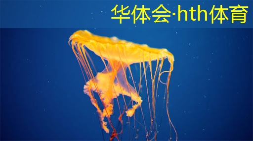 抖音游戏原画背景音乐是什么