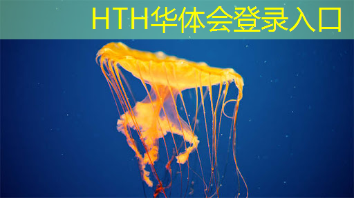 育碧游戏原画师