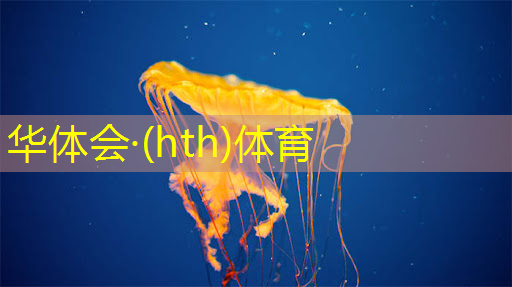 好玩简单的3d游戏推荐