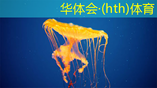 2d小程序射击游戏手游